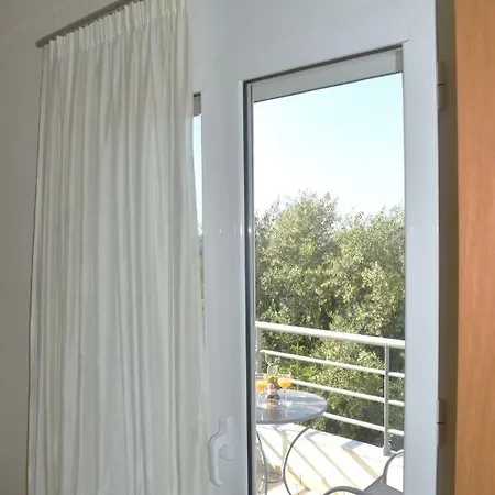 Staring At The Sunset *