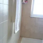 Apartman Staring At The Sunset