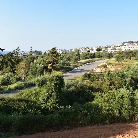 Staring At The Sunset