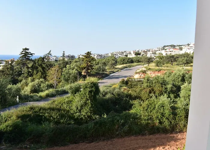 Staring At The Sunset