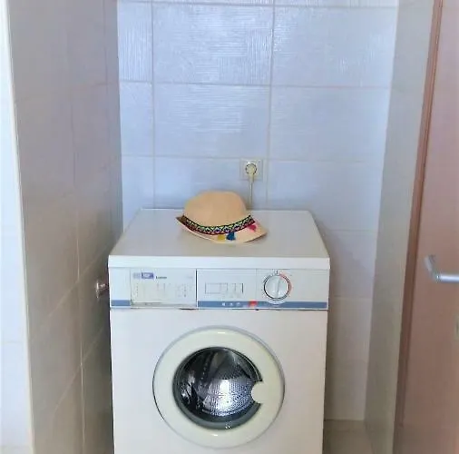 Staring At The Sunset *